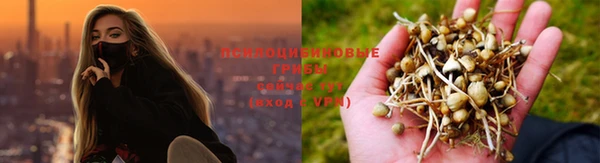 MDMA Новокубанск