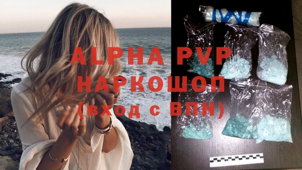 хмурый Нея