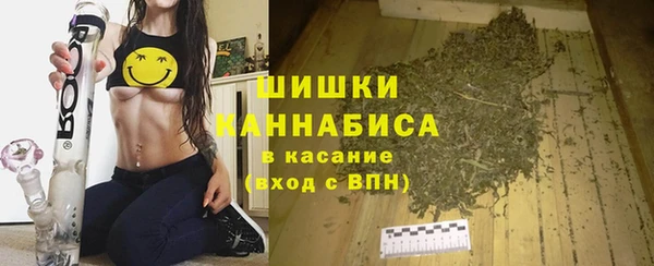 сатива Нефтекумск
