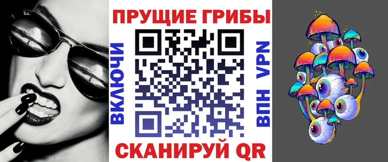 Псилоцибиновые грибы Psilocybine cubensis  Купить  Котово 